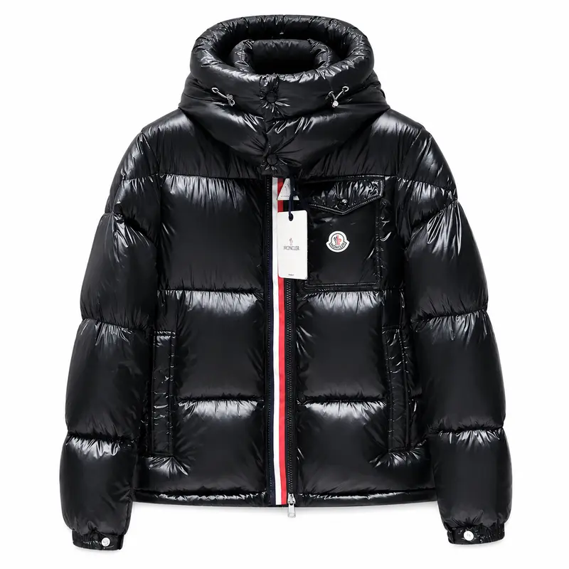 Moncler Montbeliard Down Jacket product reference image